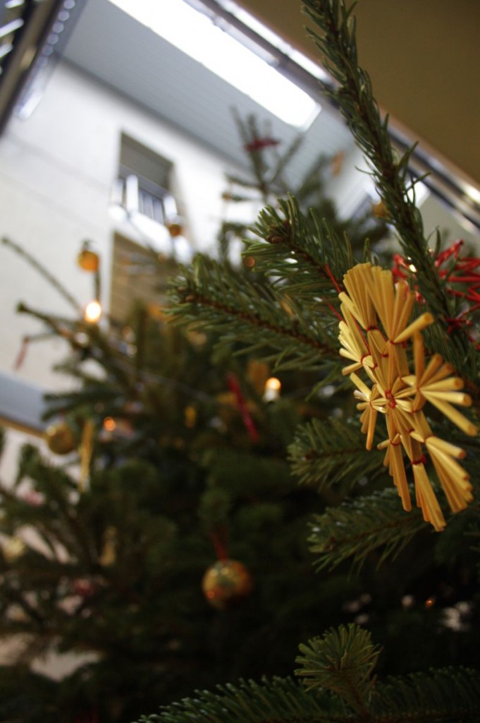 Alljährlich stellt der Förderverein im Treppenhaus einen Weihnachtsbaum auf. Schüler und Lehrer sagen: Danke!