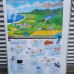 Wasser 7